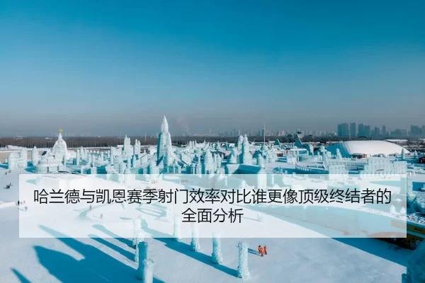 哈兰德与凯恩赛季射门效率对比谁更像顶级终结者的全面分析