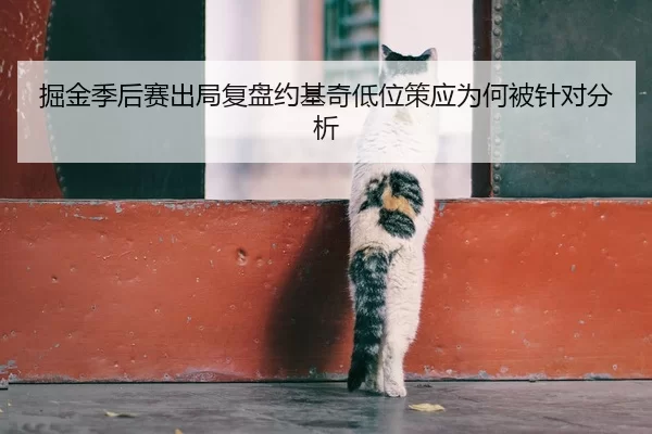 掘金季后赛出局复盘约基奇低位策应为何被针对分析