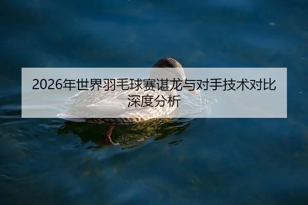 nian-shi-jie-yu-mao-qiu-sai-chen-long-yu-dui-shou-ji-shu-dui-bi-shen-du-fen-xi-2-500.jpg