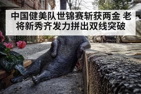 中国健美队世锦赛斩获两金 老将新秀齐发力拼出双线突破